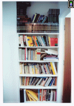 The bookcase, and Dave's games
